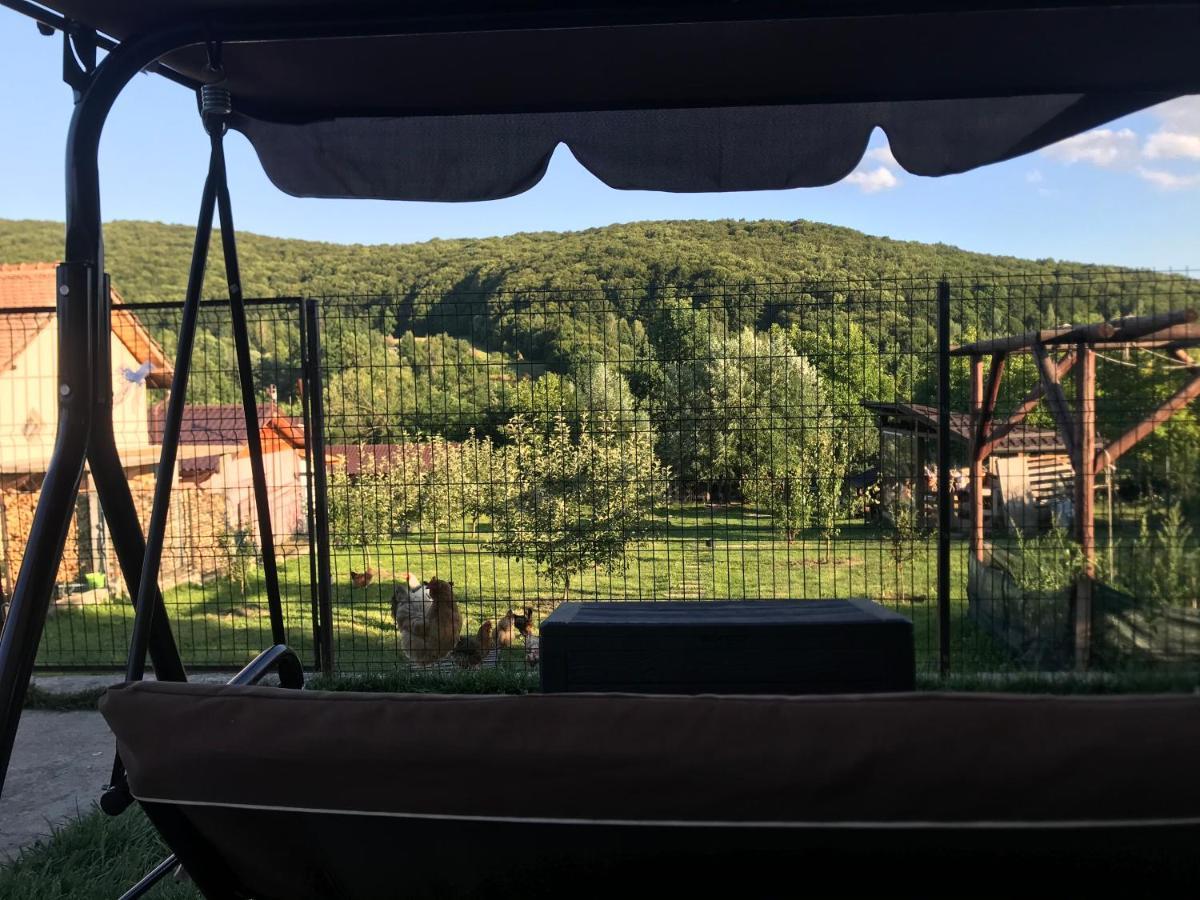 Apartament La Vila Curtea De Arges Exterior photo